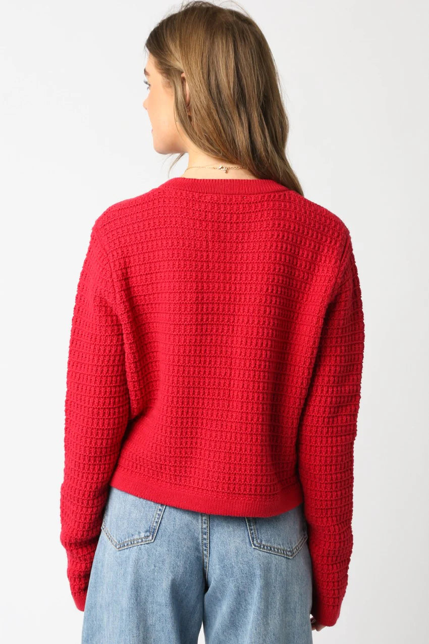 Maggie Knit Button Down