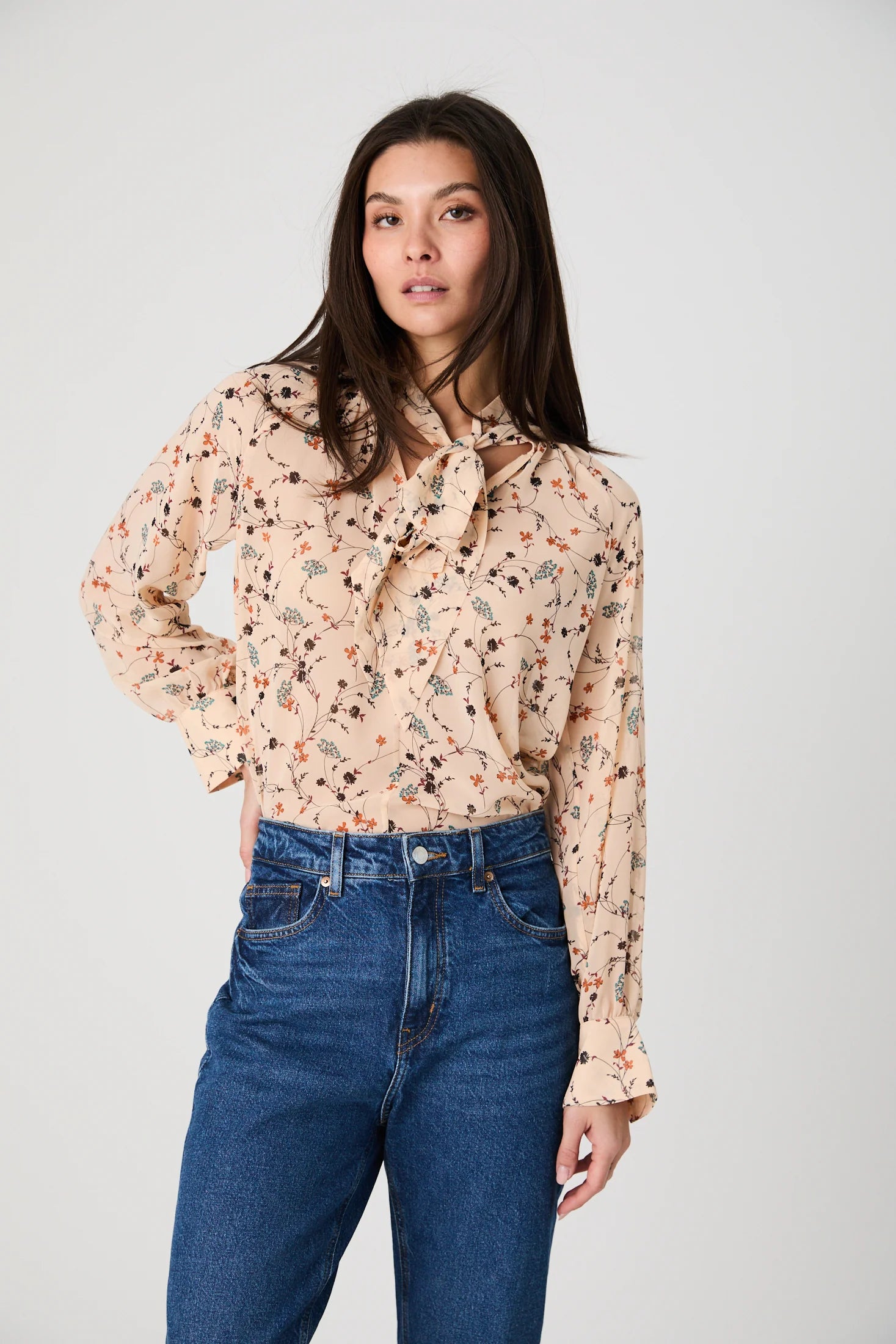 Leithia Chiffon Tie Neck Top